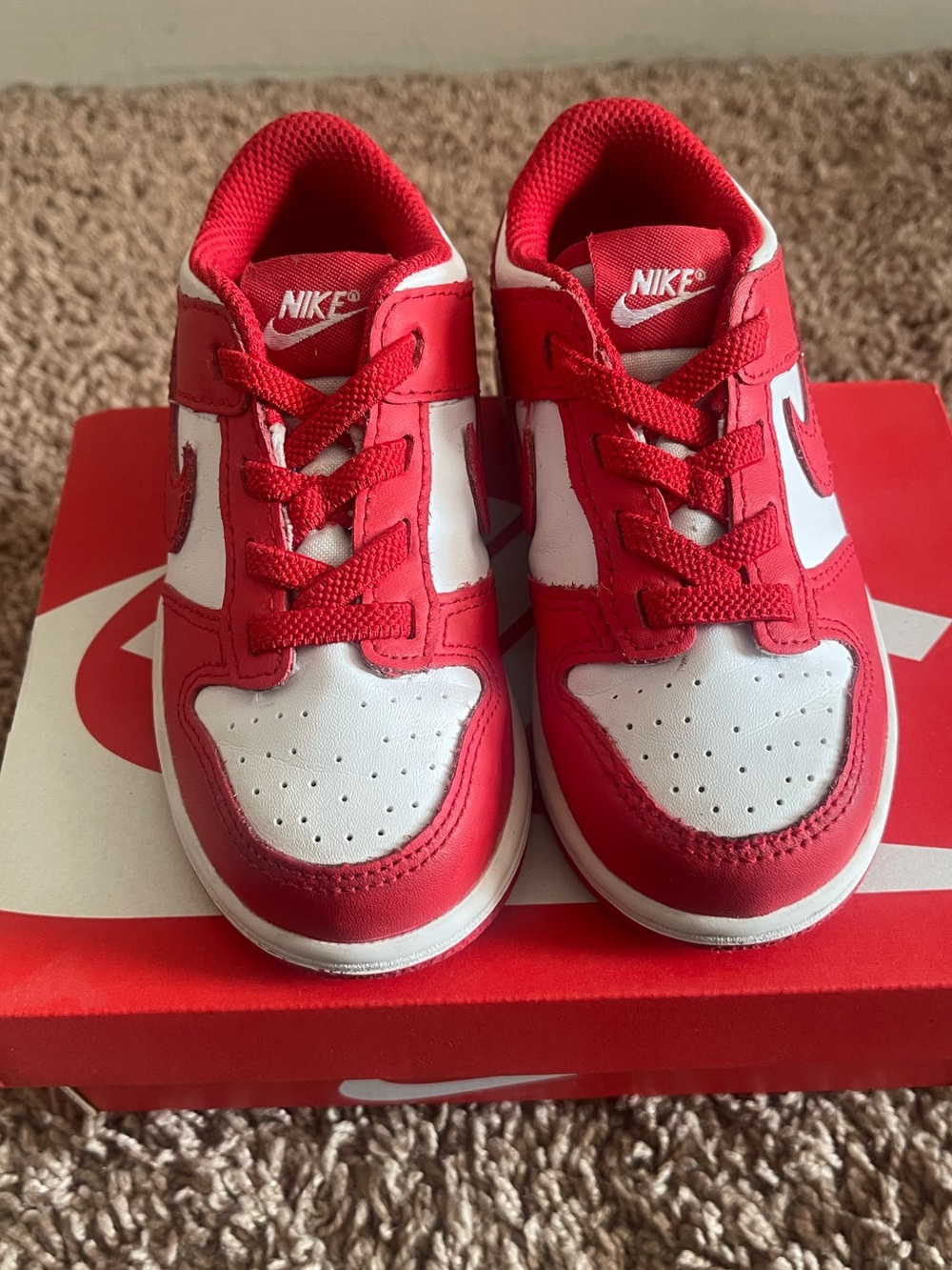 Nike Dunk